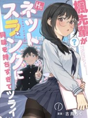 我的英雄学院漫画封面
